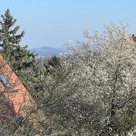 Ferienwohnung Dresden Bagian luar foto