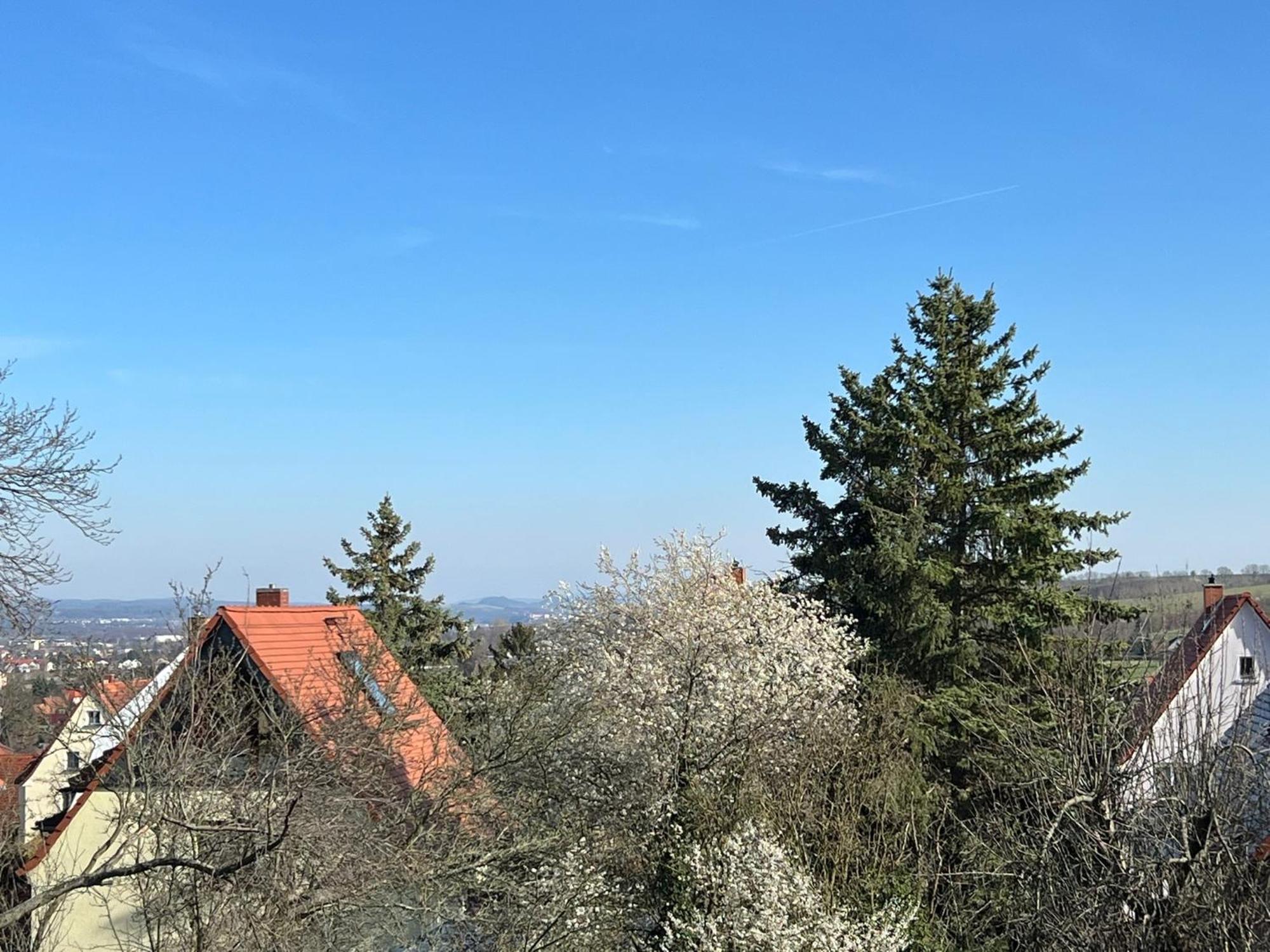 Ferienwohnung Dresden Bagian luar foto